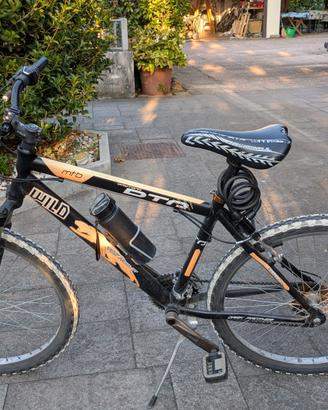 Bici ragazzo ruote 26