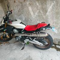 derby Mulhacen 596