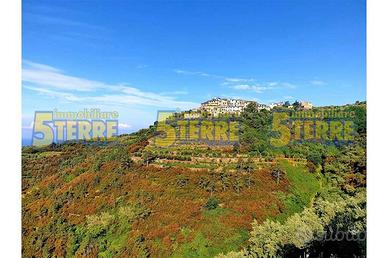Rustico / Casale di 25 m² con 2 locali a Riomaggio