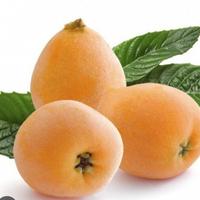 NESPOLO A POLPA GIALLA FRUTTO GRANDE