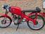 Immagine 6