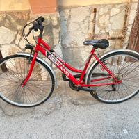 Bici da passeggio