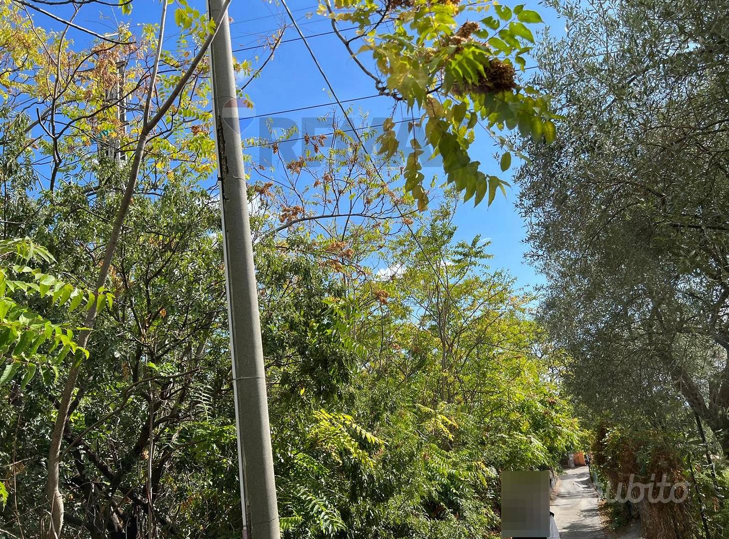 Terreno - Santa Venerina - Vista 2