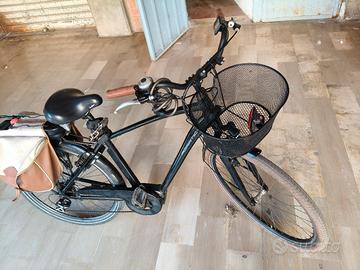 E-Bike Cicli Adriatica New Age Man