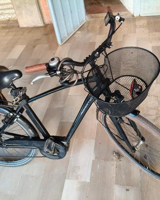 E-Bike Cicli Adriatica New Age Man