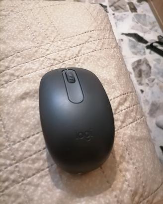 mouse