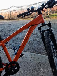 Bicicletta mtb