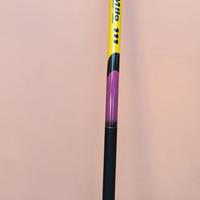 canna da pesca 