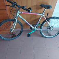 bicicletta donna