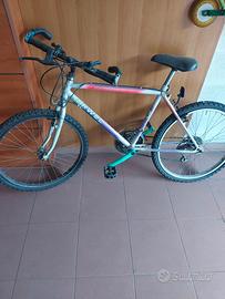 bicicletta donna