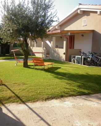Gli Ulivi