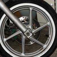 Cerchione SH 300 2014