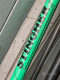 Roubesienne Colmic 13mt