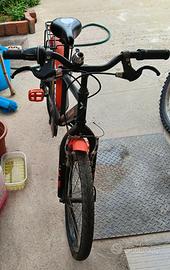 Bicicletta 20"