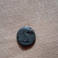 Antica moneta Cartaginese