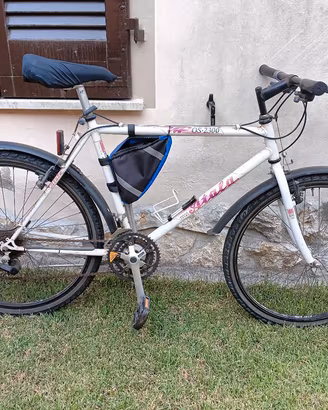 MTB Atala