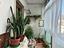 Immagine 19