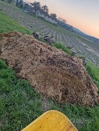 Stallatico di cavallo