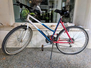 bici Mountain bike 