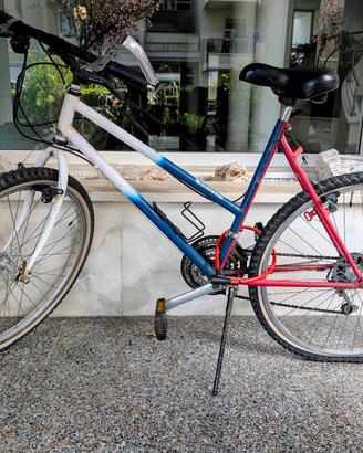 bici Mountain bike 