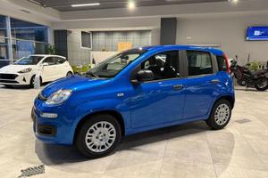 FIAT Panda Pandina 5p 1.0 FireFly 70cv Hybri...