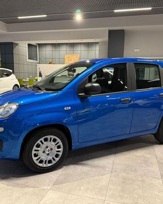 FIAT Panda Pandina 5p 1.0 FireFly 70cv Hybri...