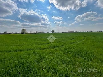 TER. AGRICOLO A CAPONAGO