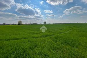 TER. AGRICOLO A CAPONAGO