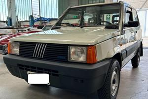 Panda 4x4 perfetta