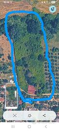 Villa unifamiliare con terreno e strada privata