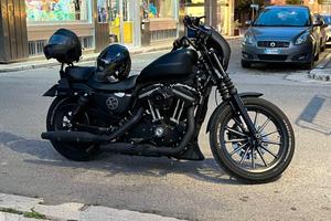 harley 883