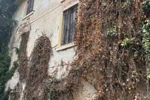 Villa rustico con giardino Verona