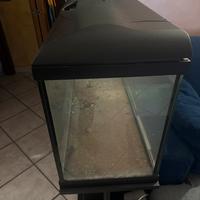 Acquario 100 Litri