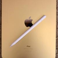 Set bundle iPad10 256GB + apple pencil e accessori