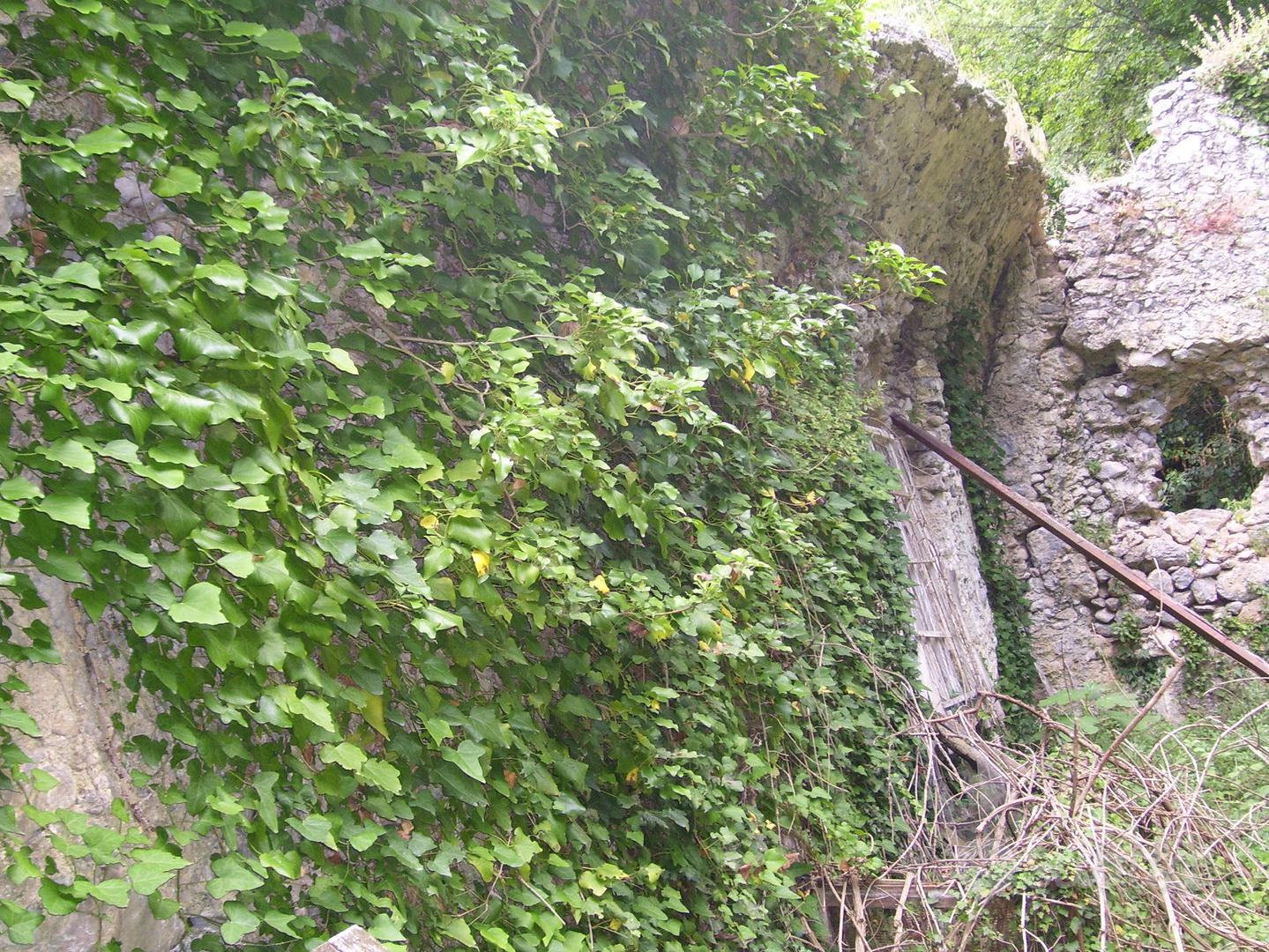 Terreno in tovo san giacomo - Vista 5