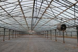 azienda agricola 