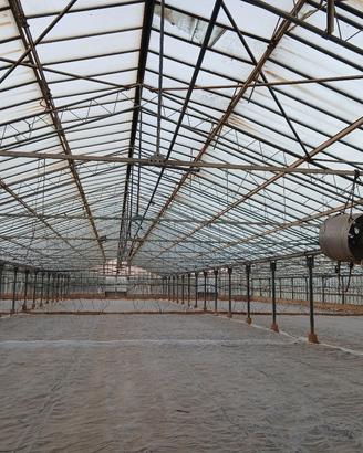 azienda agricola 