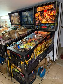 Flipper pirates of the Caribbean