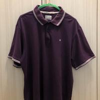 Polo Champion