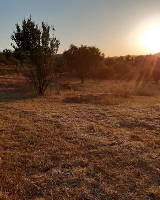 Terreno agricolo con pozzo a Manziana 1,5 ettari