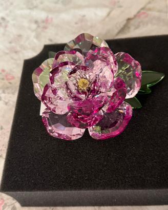 Swarovski Peonia