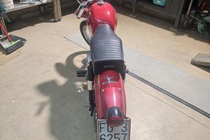 moto gozzi zigomo restaurato da vetrina