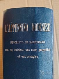 L' APPENNINO MODENESE CAPPELLI