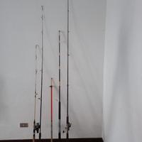 5 canne da pesca, libri di pesca e accessori