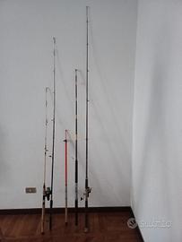 5 canne da pesca, libri di pesca e accessori
