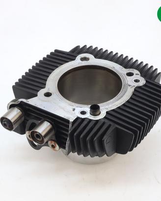 Cilindro orizzontale DUCATI Monster 696