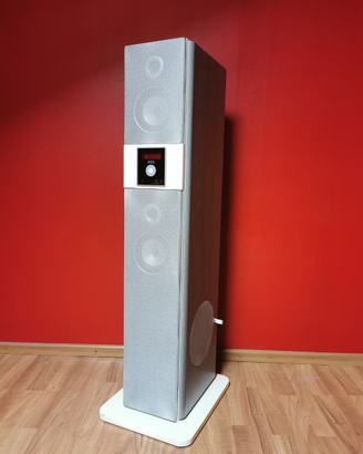 Cassa soundtower aeg