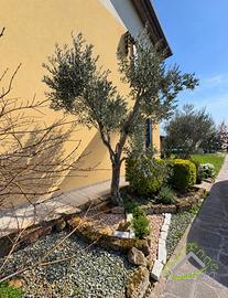 PORZIONE DI VILLA BIFAMILIARE