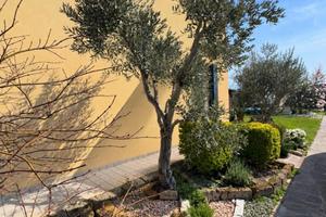 PORZIONE DI VILLA BIFAMILIARE
