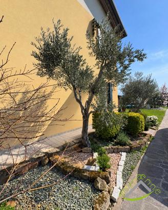 PORZIONE DI VILLA BIFAMILIARE